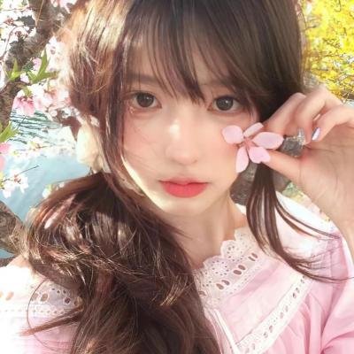 夏绿蒂的网